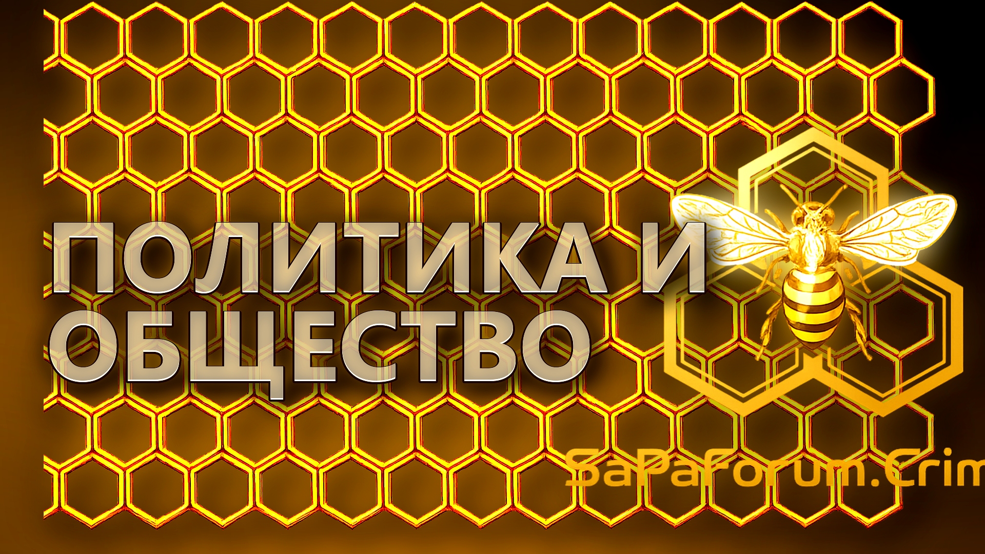 Политика и общество