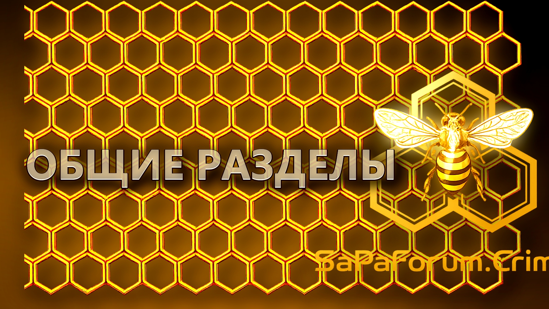 Общие разделы