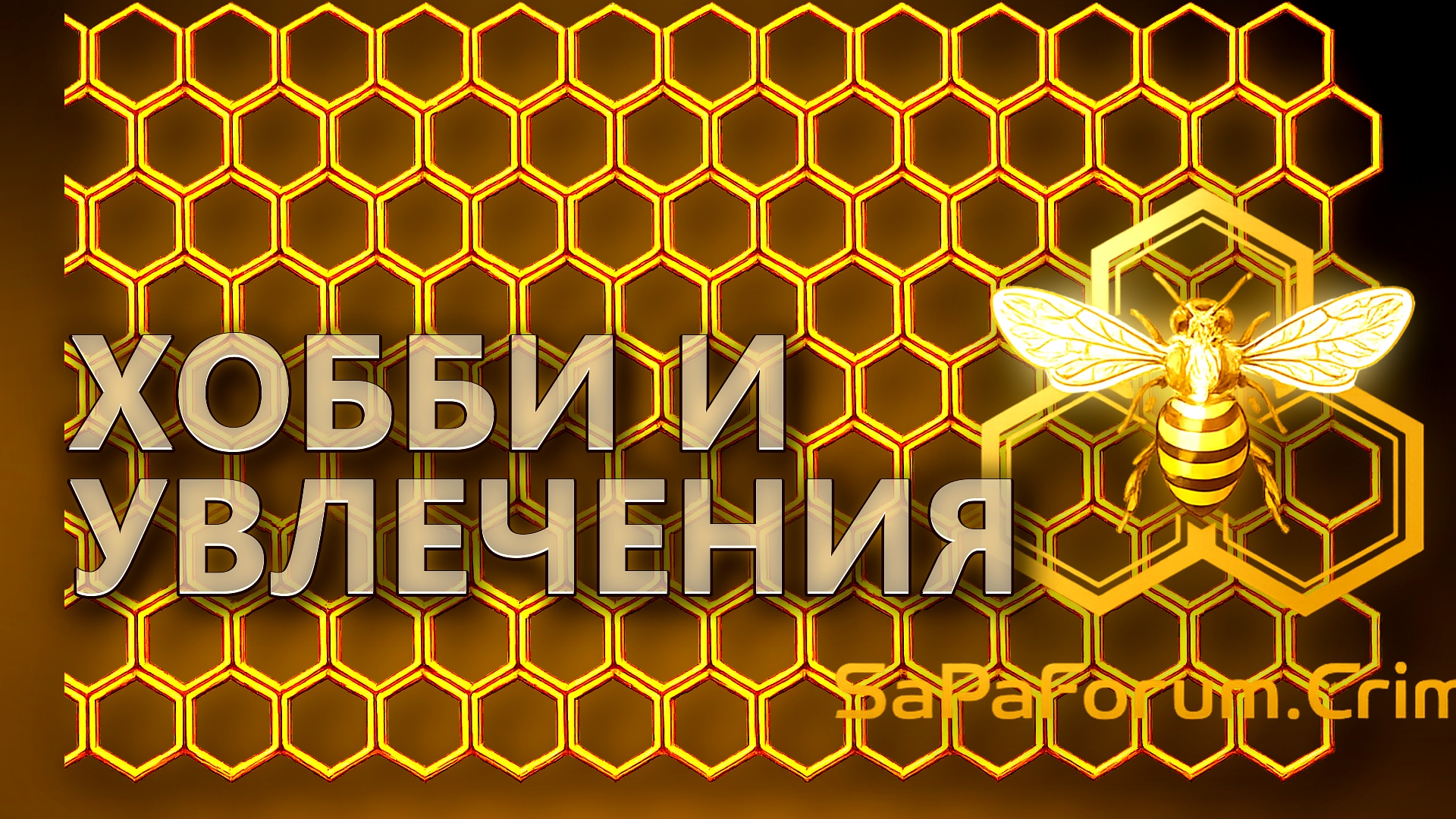 Хобби и увлечения